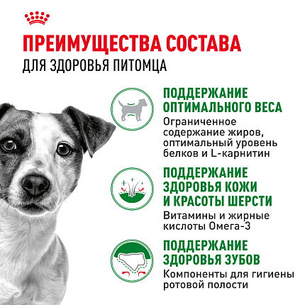Cухой корм Royal Canin Mini Adult (МИНИ ЭДАЛТ) 2 кг